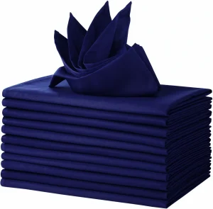 Blue Polyester Napkins 12 Pack 18x18