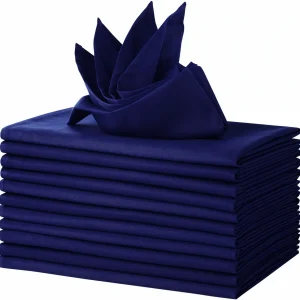 Blue Polyester Napkins 12 Pack 18x18