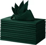 Green Polyester Napkins 12 Pack 18x18