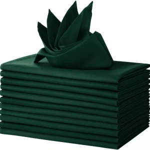 Green Polyester Napkins 12 Pack 18x18