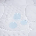 Pillow Protector Flower3