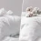 Cotton Pillow vs Microfiber Pillow - Pros, Cons, and Which to Choose