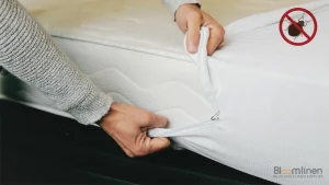 How to Protect a Bed from Bed Bugs Guide for Hospitality Businesses