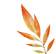 Deals Flower 1