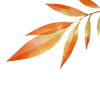 Deals Flower 2