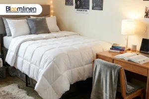 Best Dorm Comforters for Campus Housing & Conferences
